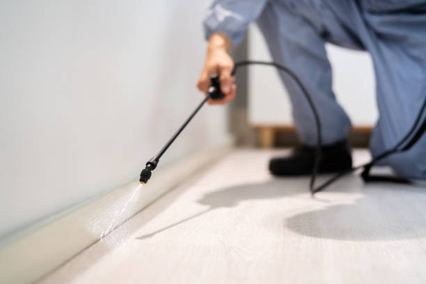 Bed Bug Pre-Treatment Preparation Assessment in Union