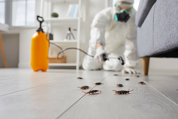 Post-Treatment Bed Bug Interceptor Monitoring in Union